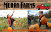 Pumpkin Patches Image